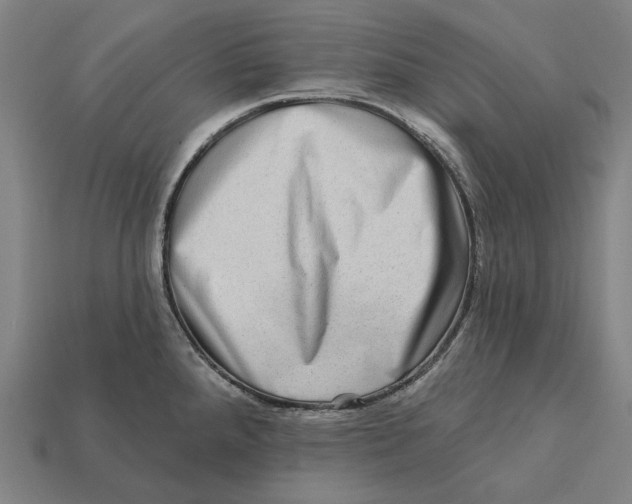 X0000112421288200909111003