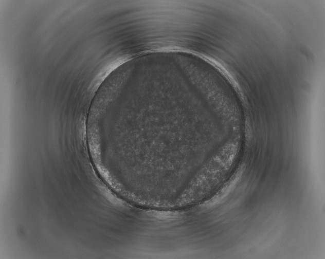 X0000112421289200909111003