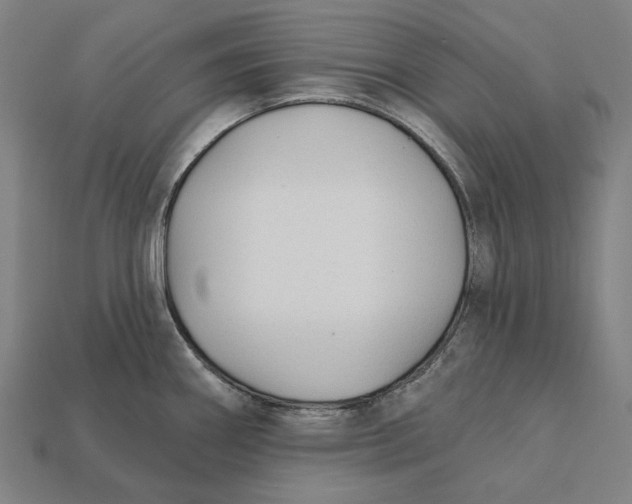 X0000112421290200909111003