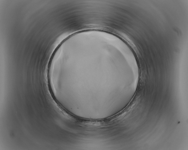 X0000112421291200909111003