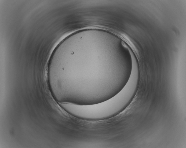 X0000112421292200909111003