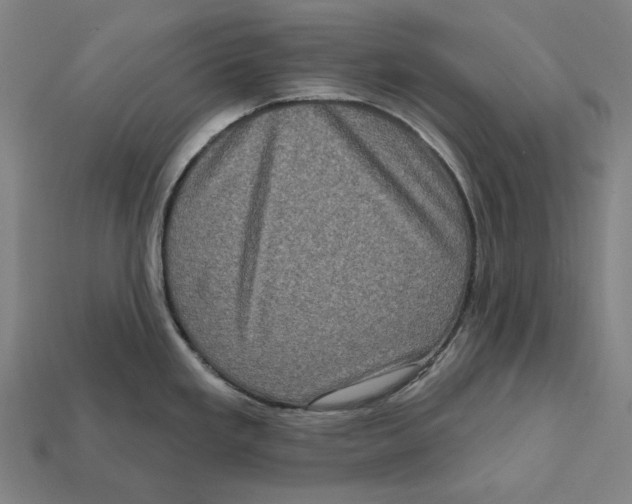 X0000112421293200909111002