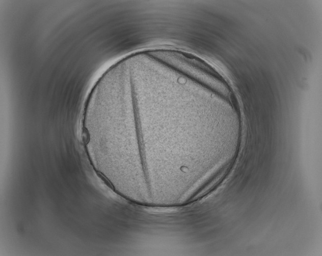 X0000112421296200909111002