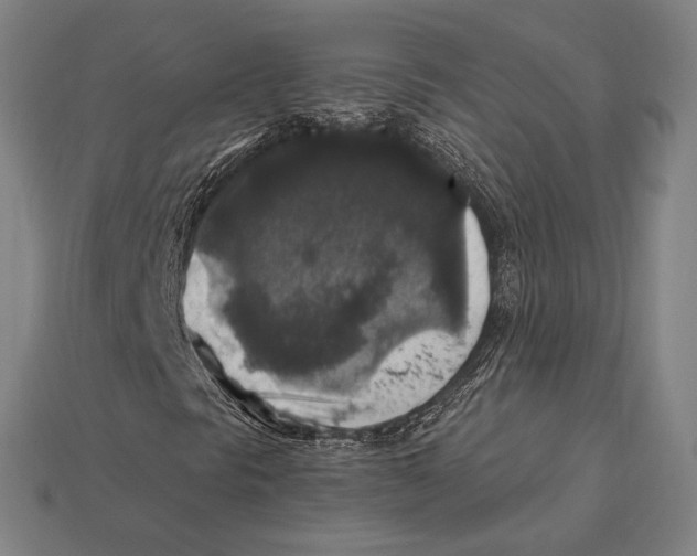 X0000112421297200909111002