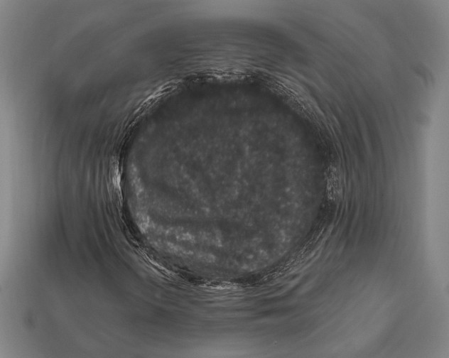 X0000112421298200909111002