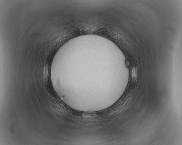 X0000112421299200909111002