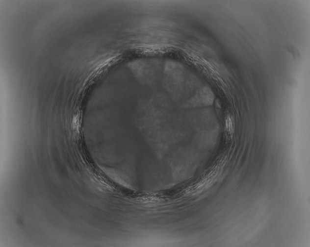 X0000112421300200909111002