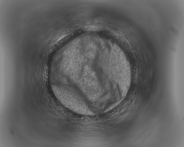 X0000112421301200909111002