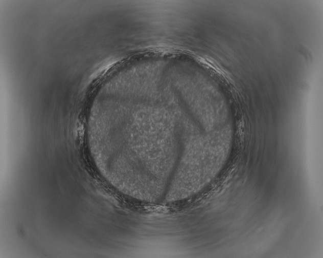 X0000112421302200909111002