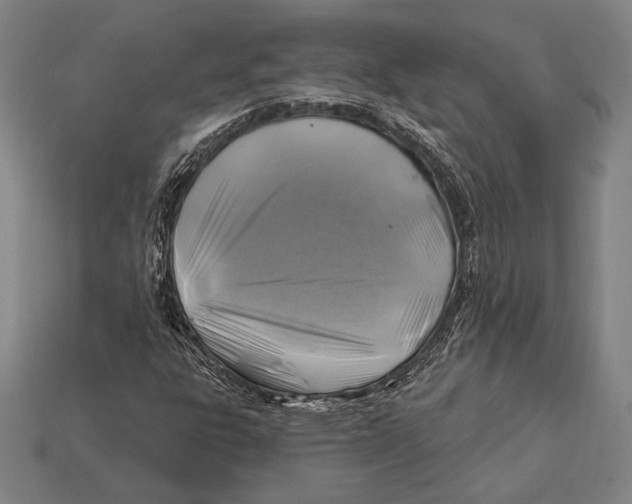 X0000112421303200909111002