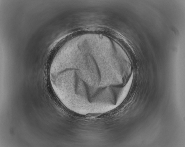 X0000112421304200909111002