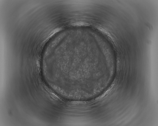 X0000112421305200909111002