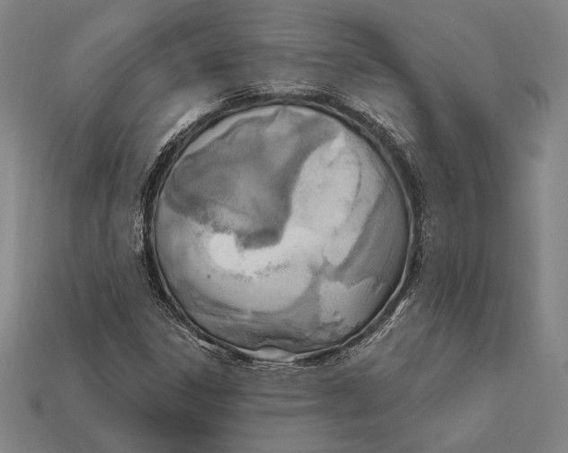 X0000112421306200909111002