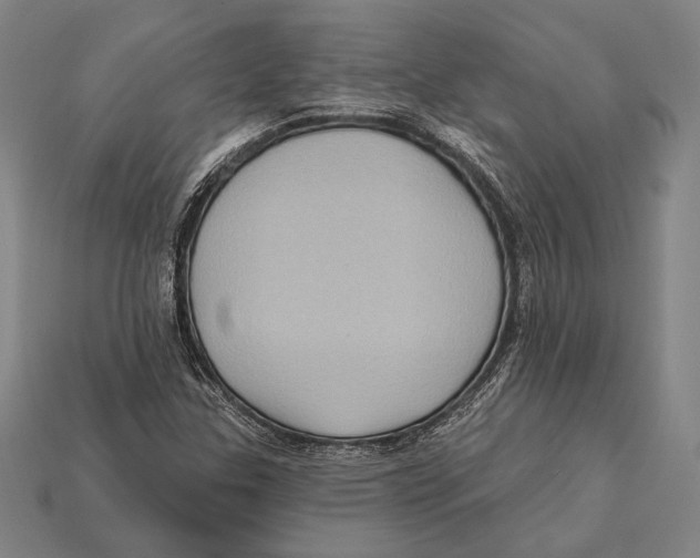 X0000112421307200909111002