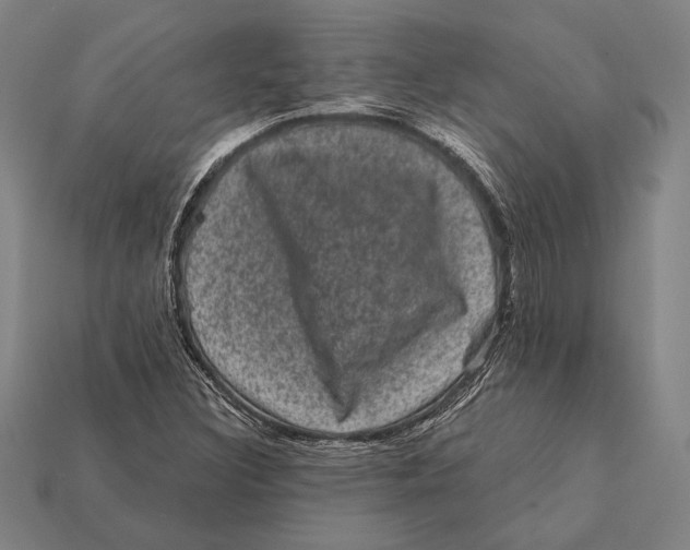 X0000112421308200909111002