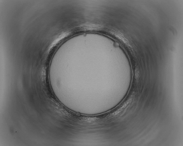 X0000112421309200909111002