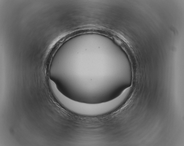 X0000112421310200909111002