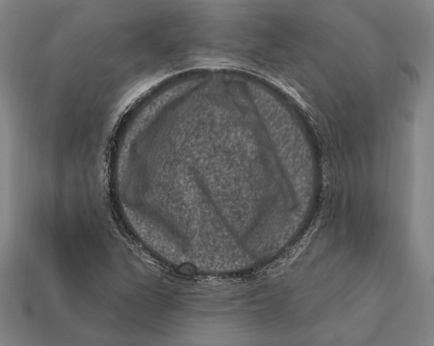 X0000112421311200909111002