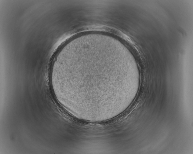 X0000112421312200909111002