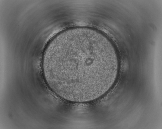 X0000112421314200909111002