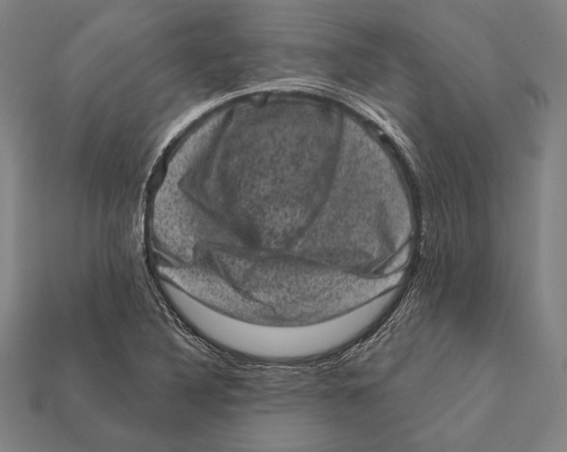 X0000112421316200909111002