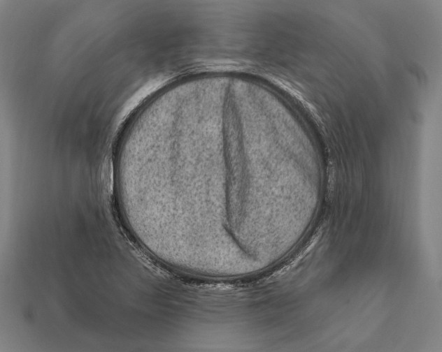 X0000112421317200909111002