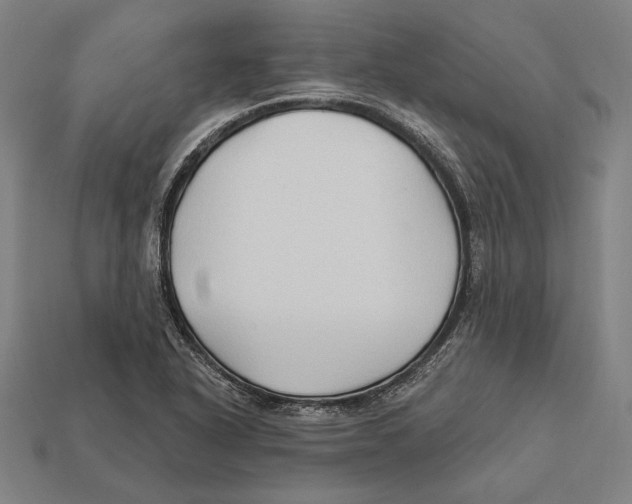 X0000112421318200909111002