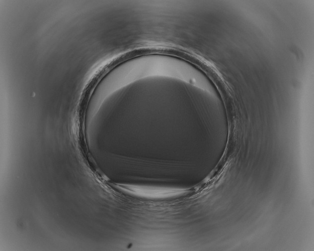 X0000112421319200909111002