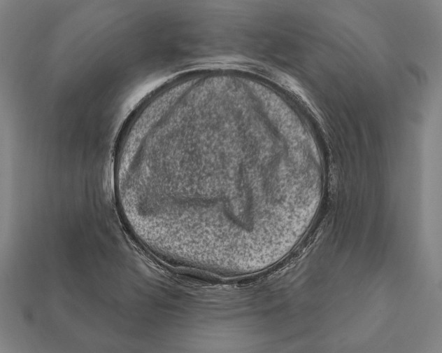 X0000112421320200909111002