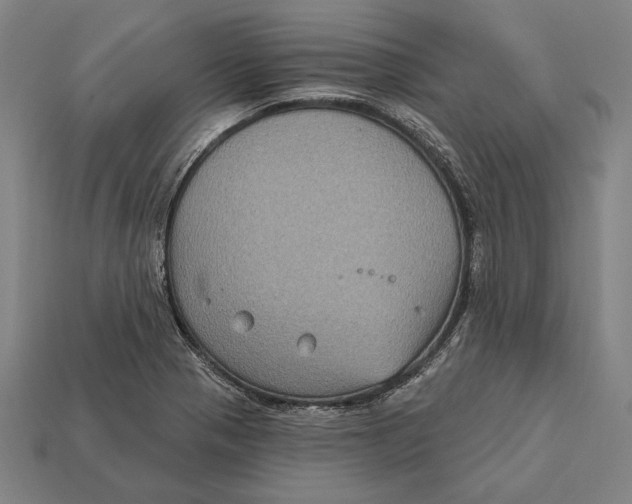 X0000112421321200909111002