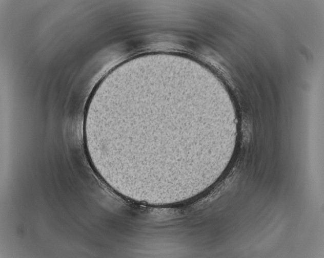 X0000112421322200909111002