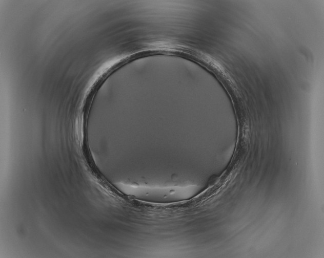 X0000112421323200909111002