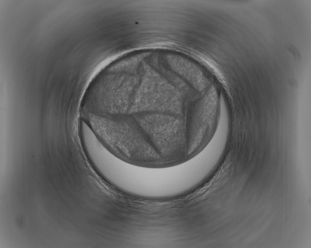 X0000112421324200909111002