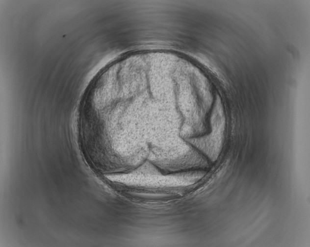 X0000112421325200909111002