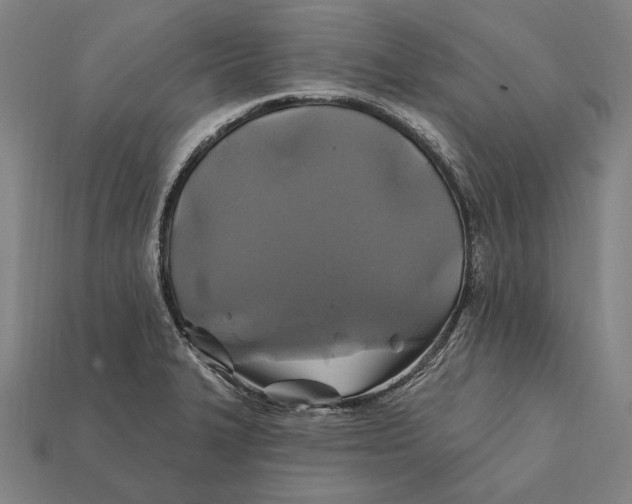 X0000112421327200909111002