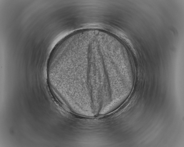 X0000112421328200909111002