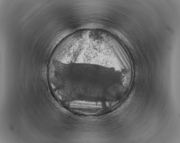 X0000112421329200909111002