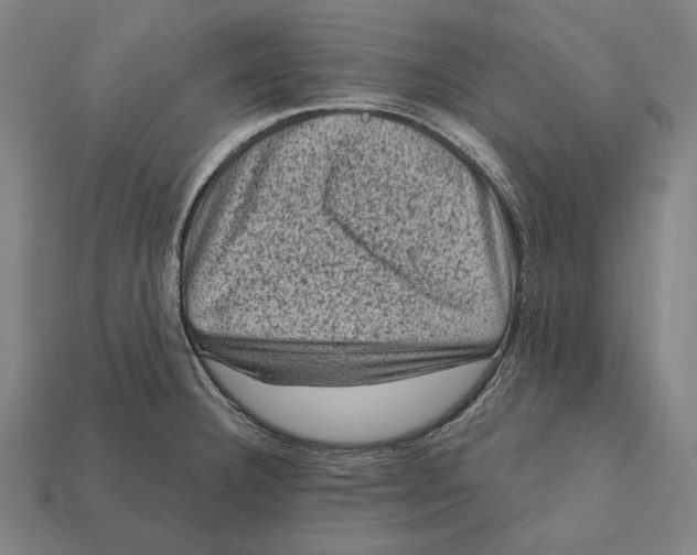 X0000112421332200909111002