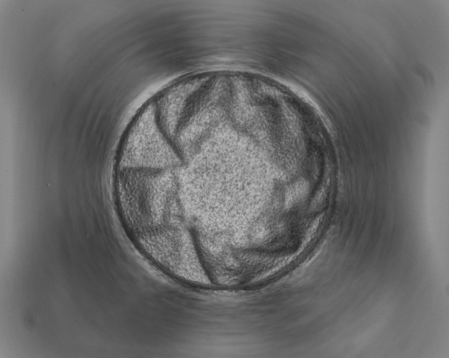 X0000112421333200909111002