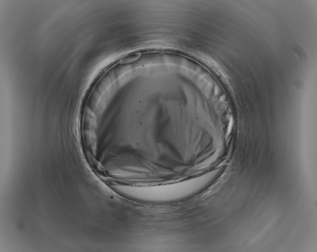 X0000112421334200909111002