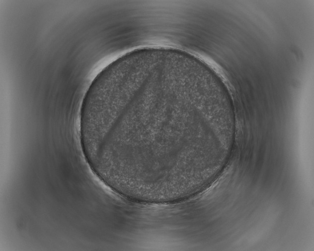 X0000112421335200909111002