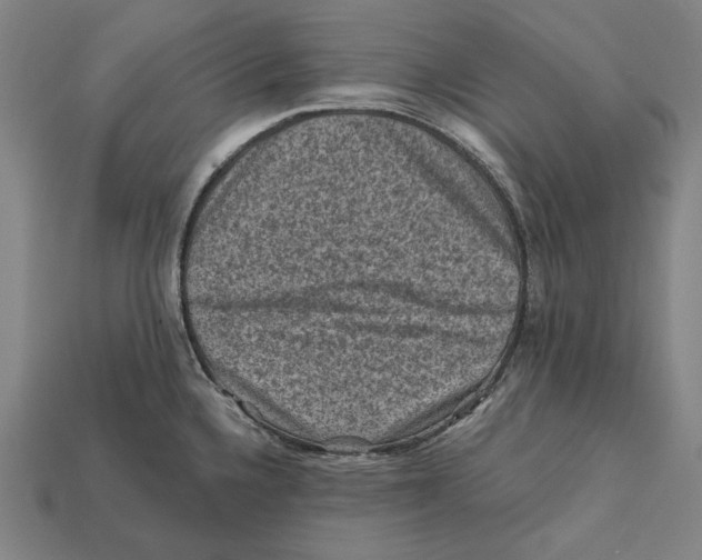 X0000112421336200909111002