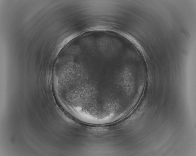 X0000112421337200909111002