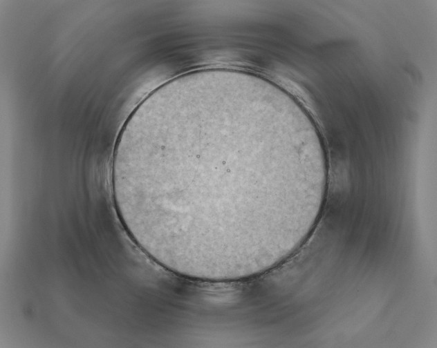 X0000112421338200909111002