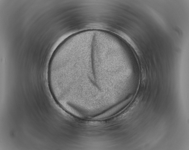 X0000112421339200909111002