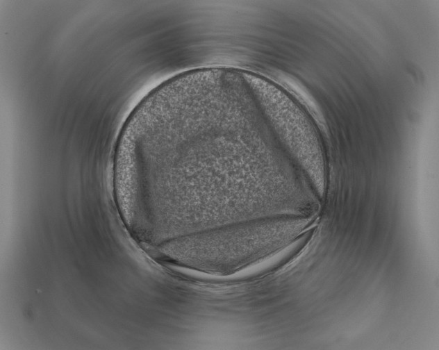 X0000112421340200909111002