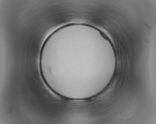 X0000112421343200909111002