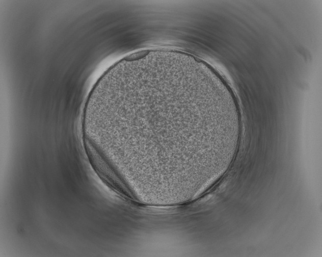 X0000112421344200909111002