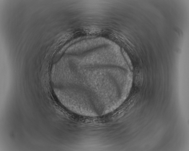 X0000112421345200909111002