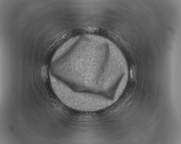 X0000112421347200909111002